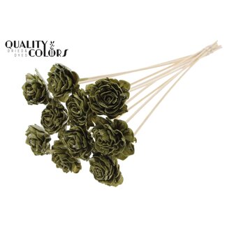 QC Shola Dahlia met was op stok | Kleur: Olijfgroen | Shola Dhalya | Diameter 6 centimeter | Lengte ± 50 centimeter | 10 bijstekers per bos | Per bos
