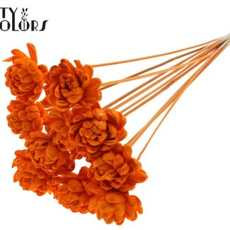 QC Shola Wooden Rose on Stem | Colour: Orange | Shola New Beauty Rose Pick | Rose diameter 6 centimetres | Pick length ± 50 centimetres | 10 picks per bunch
