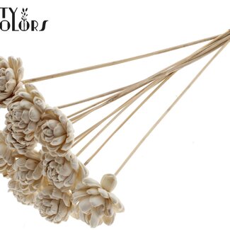 QC Shola Houten Rose sur tige | Couleur : Blanc Naturel | Shola New Beauty Rose Pique-fleur | Diamètre de la rose 6 centimètres | Longueur du pique-fleur ± 50 centimètres | 10 piques-fleurs par bouquet