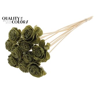 QC Shola rose with wax on stem | Colour: Olive green | Shola Beauty Rose | Diameter 6 centimeter | Length ± 50 centimeter | 10 auxiliary stems per bunch | Per bunch