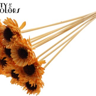 QC Shola Houten Madelief Zonnebloem op stok | Kleur: Abrikooskleurig | Shola Daisy Sunflower Bijsteker | Diameter bloem 6 centimeter | Lengte bijsteker ± 50 centimeter | 10 bijstekers per bos