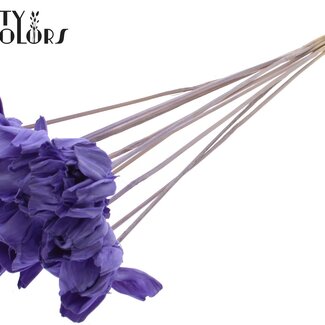 QC Shola Wooden Rose on stick | Colour: Milka Purple | Shola Dear Holly Stick | Rose diameter 6 centimetres | Stick length ± 50 centimetres | 10 sticks per bunch