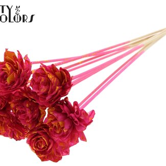 QC Shola Houten Dahlia op stok | Kleur: Gespetterd Kerskleurig Geel | Shola Dahlia Bijsteker | Diameter bloem 6 centimeter | Lengte bijsteker ± 50 centimeter | 10 bijstekers per bos