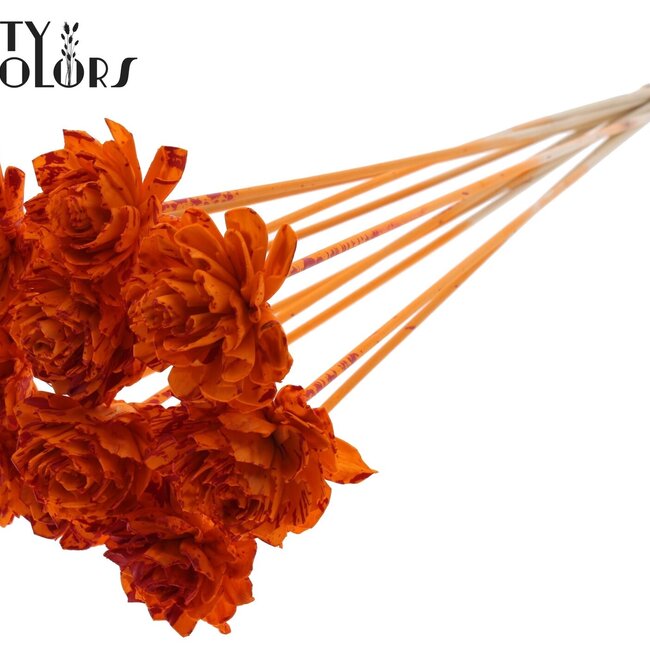 Shola Dahlia sur tige | Couleur: Multicolore Éclaboussé Orange Rouge | Shola Dhalya | Diamètre 6 centimeter | Longueur ± 50 centimeter | 10 piques florales par bouquet | Par bouquet