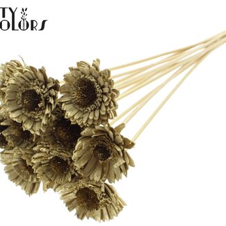 QC Shola Wooden Daisy Sunflower on stick | Colour: Gold | Shola Daisy Sunflower Stick | Flower diameter 6 centimetres | Stick length ± 50 centimetres | 10 sticks per bunch