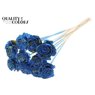 QC Shola Rose sur tige | Couleur: Bleu et jaune éclaboussé | Shola Beauty Rose | Diamètre 6 centimeter | Longueur ± 50 centimeter | 10 piques d'appoint par bouquet | Par bouquet