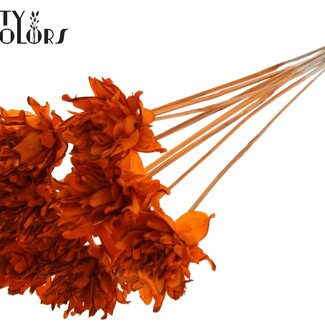 QC Shola Dennenhouten Bloem op stok | Kleur: Oranje | Shola Slice Pine Bijsteker | Diameter bloem 6 centimeter | Lengte bijsteker ± 50 centimeter | 10 bijstekers per bos