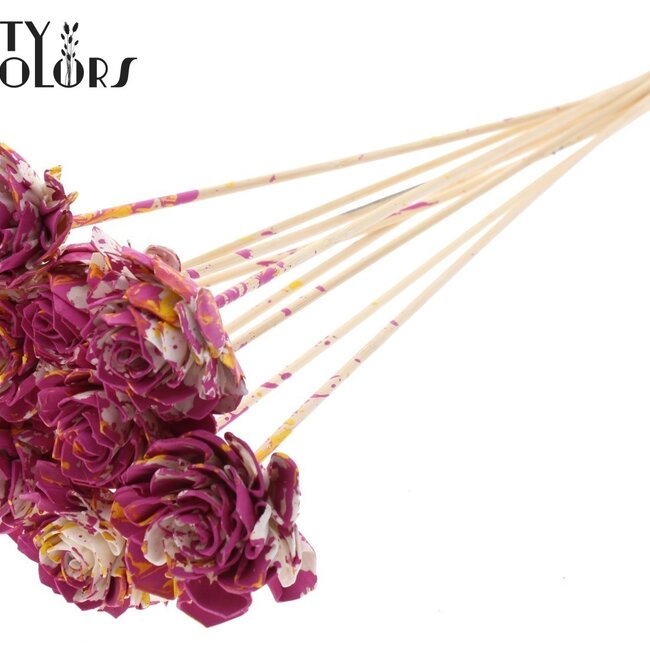 Shola Dahlia sur tige | Couleur: Multicolore Cerise Jaune | Shola Dhalya | Diamètre 6 centimètre | Longueur ± 50 centimètre | 10 tiges d'appoint par bouquet | Par bouquet