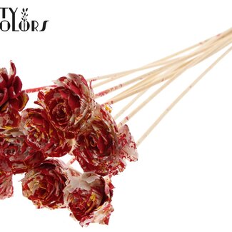 QC Shola Houten Dahlie auf Stiel | Farbe: Mehrfarbig Rot Gelb | Shola Dahlie Steckstab | Durchmesser Blume 6 Zentimeter | Länge Steckstab ± 50 Zentimeter | 10 Steckstäbe pro Bund