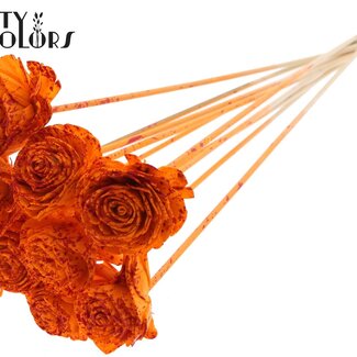 QC Shola-Rose am Stiel | Farbe: Meerfarbig Gesprenkelt Orange Rot | Shola Beauty Rose | Durchmesser 6 centimeter | Länge ± 50 centimeter | 10 Blumenstecker pro Bund | Pro Bund