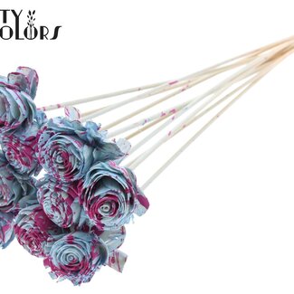 QC Shola Beauty Rose 6cm on stem Splashed Light Blue/Cerise