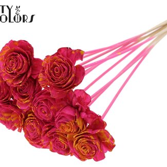 QC Shola Beauty Rose 6cm sur tige Éclaboussé Cerise/Jaune