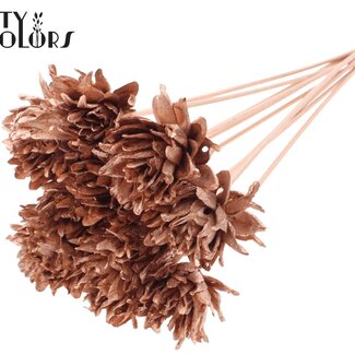 QC Shola Bloem op stok | Kleur: Koperkleurig | Shola Slice Pine | Diameter 6 centimeter | Lengte ± 50 centimeter | 10 bijstekers per bos | Per bos