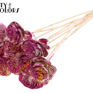 QC Shola Rose am Stiel | Farbe: Meerfarbig Kirschfarben Gelb | Shola Beauty Rose | Durchmesser 6 centimeter | Länge ± 50 centimeter | 10 Blumenstecker pro Bund | Pro Bund