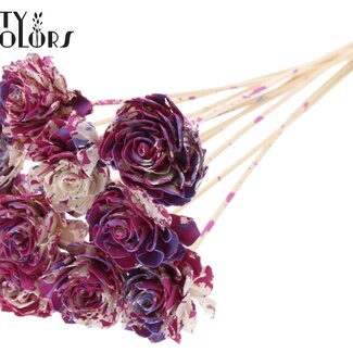 QC Shola Dahlia am Stiel | Farbe: Mehrfarbig Kirschfarben Milchviolett | Shola Dhalya | Durchmesser 6 centimeter | Länge ± 50 centimeter | 10 Stecker pro Bund | Pro Bund