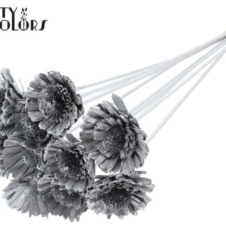 QC Shola Houten Madelief Sonnenblume auf Stiel | Farbe: Silberfarben | Shola Daisy Sonnenblume Steckstab | Durchmesser Blume 6 Zentimeter | Länge Steckstab ± 50 Zentimeter | 10 Steckstäbe pro Bund