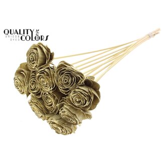QC Shola Rose on stem | Colour: Gold-coloured | Shola Beauty Rose | Diameter 6 centimeter | Length ± 50 centimeter | 10 additional picks per bunch | Per bunch