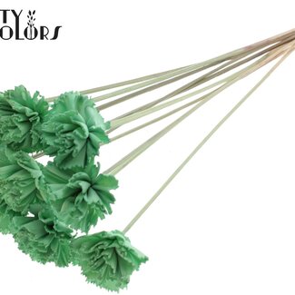 QC Shola Houten Karnish Flower on stick | Colour: Mint Green | Shola Karnish Flower Stick | Flower diameter 6 centimetres | Stick length ± 50 centimetres | 10 sticks per bunch
