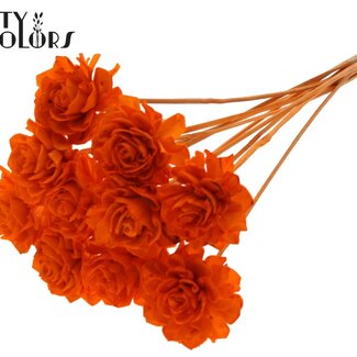 QC Shola Rose am Stiel | Farbe: Orange | Shola Beauty Rose | Durchmesser 6 centimeter | Länge ± 50 centimeter | 10 Anstecker pro Bund | Pro Bund