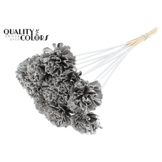 QC Shola Karnish Bloem op stok | Kleur: Platinakleurig | Diameter 6 centimeter | Lengte ± 50 centimeter | 10 bijstekers per bos | Per bos