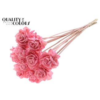 QC Shola Dahlia sur tige | Couleur: rose clair | Shola Dhalya | Diamètre 6 centimeter | Longueur ± 50 centimeter | 10 piques par bouquet | Par bouquet