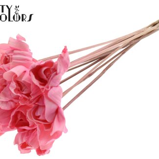 QC Shola Houten Rose sur tige | Couleur : Rose clair | Shola Dear Holly Pique-fleur | Diamètre de la rose 6 centimètres | Longueur du pique-fleur ± 50 centimètres | 10 piques-fleurs par bouquet