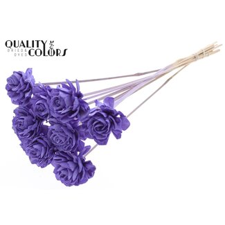 QC Shola Dahlia op stok | Kleur: Milkapaars | Shola Dhalya | Diameter 6 centimeter | Lengte ± 50 centimeter | 10 bijstekers per bos | Per bos