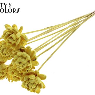 QC Shola Wooden Rose on Stick | Colour: Yellow | Shola New Beauty Rose Stick | Rose Diameter 6 centimetres | Stick Length ± 50 centimetres | 10 sticks per bunch
