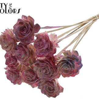 QC Shola Dahlia am Stiel | Farbe: Rosa Farbverlauf | Shola Dhalya | Durchmesser 6 centimeter | Länge ± 50 centimeter | 10 Beistecker pro Bund | Pro Bund