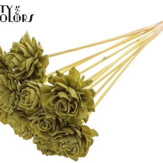 QC Shola Dahlia op stok | Kleur: Olijfgroen | Shola Dhalya | Diameter 6 centimeter | Lengte ± 50 centimeter | 10 bijstekers per bos | Per bos