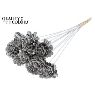 QC Shola Dahlia on stem | Colour: Platinum-coloured | Shola Dhalya | Diameter 6 centimetre | Length ± 50 centimetre | 10 picks per bunch | Per bunch