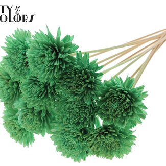 QC Shola Holz Zinnia auf Stiel | Farbe: Mintgrün | Shola Zinia Steckblume | Blütendurchmesser 8 Zentimeter | Steckblumenlänge ± 50 Zentimeter | 10 Steckblumen pro Bund