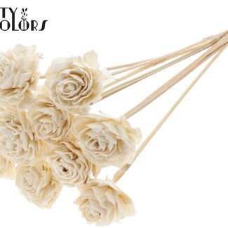 QC Shola Houten Dahlia sur tige | Couleur : Blanc Naturel | Shola Dahlia Pique-fleur | Diamètre de la fleur 6 centimètres | Longueur du pique-fleur ± 50 centimètres | 10 piques-fleurs par bouquet
