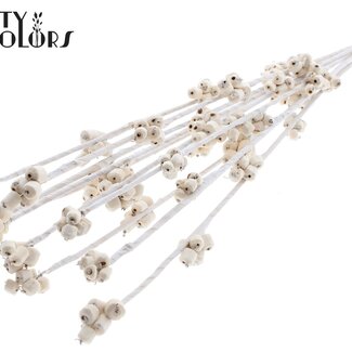 QC Shola Houten Beerenstecker | Farbe: Naturweiß | Shola Beeren | Stecker Länge ± 75 Zentimeter | 10 Stecker pro Bund