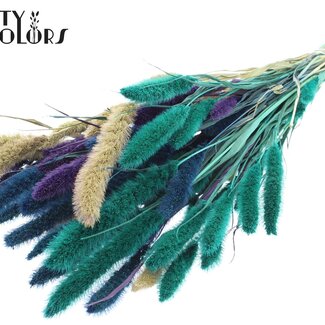 QC Setaria séchée “Scandinavian Mix” | Couleur : Couleurs mélangées | Fleurs séchées Setaria | Longueur ± 70 centimètres | Poids 210 grammes | Par bouquet