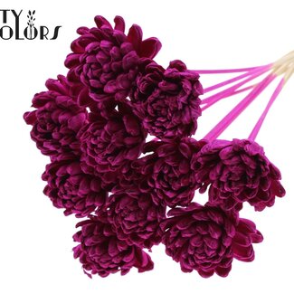 QC Shola Houten Rose auf Stiel | Farbe: Fliederfarben | Shola New Beauty Rose Steckstab | Durchmesser der Rose 8 Zentimeter | Länge des Steckstabs ± 50 Zentimeter | 10 Steckstäbe pro Bund