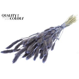 QC Dried Setaria | Colour: Pearl Milk Purple | Setaria Dried Flowers | Length ± 70 centimetres | Weight 210 grams | Per bunch