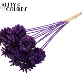 QC Bleached Pine Cone on stick | Colour: Purple | Diameter 5 - 7 centimetres | Length ± 50 centimetres | 10 picks per bunch