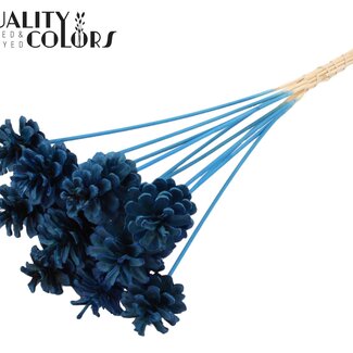 QC Pomme de pin blanchie sur tige | Couleur : Bleu | Diamètre 5 - 7 centimètres | Longueur ± 50 centimètres | 10 piques par bouquet