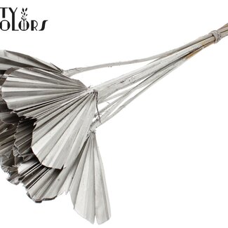 QC Gedroogde Palm Spear Heart | Kleur: Platinakleurig | Palmbladeren in Hartvorm | Lengte ± 45 centimeter | 10 takken per bos | Per bos