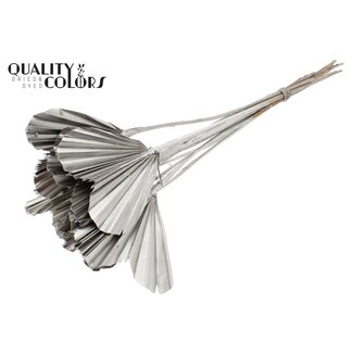 QC Dried Palm Spear Heart | Colour: Platinum | Heart-Shaped Palm Leaves | Length ± 45 centimetres | 10 stems per bunch | Per bunch