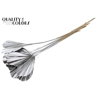 QC Dried Palm Spear Heart | Colour: Silver | Heart-Shaped Palm Leaves | Length ± 45 centimetres | 10 stems per bunch | Per bunch