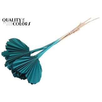 QC Dried Palm Spear Heart | Colour: Turquoise | Heart-Shaped Palm Leaves | Length ± 45 centimetres | 10 stems per bunch | Per bunch