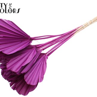 QC Gedroogde Palm Spear Heart | Kleur: Lilakleurig | Palmbladeren in Hartvorm | Lengte ± 45 centimeter | 10 takken per bos | Per bos