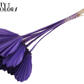 QC Gedroogde Palm Spear Heart | Kleur: Paars | Palmbladeren in Hartvorm | Lengte ± 45 centimeter | 10 takken per bos | Per bos
