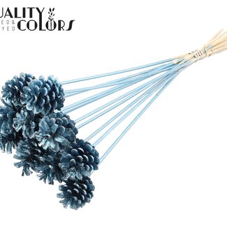 QC Dennenappel op stok | Kleur: Metallic Blauw | Diameter 5 - 7 centimeter | Lengte ± 50 centimeter | 10 bijstekers per bos