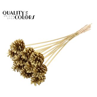 QC Pine cone on stick | Colour: Gold-coloured | Diameter 5 - 7 centimetres | Length ± 50 centimetres | 10 picks per bunch