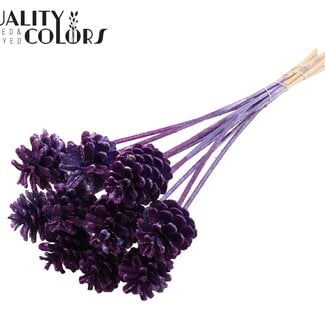 QC Pine cone on stick | Colour: Metallic Purple with Glitter | Diameter 5 - 7 centimetres | Length 60 centimetres | 10 picks per bunch