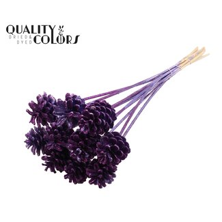 QC Pine cone on stick | Colour: Metallic Purple with Glitter | Diameter 5 - 7 centimetres | Length 60 centimetres | 10 picks per bunch