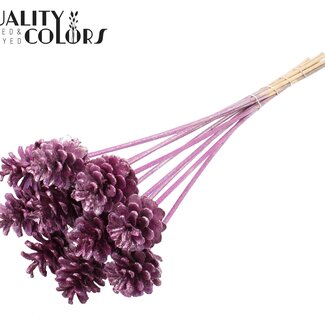 QC Dennenappel op stok | Kleur: Metallic Roze met Glitter | Diameter 5 - 7 centimeter | Lengte ± 50 centimeter | 10 bijstekers per bos
